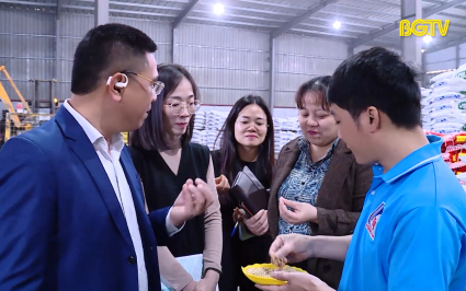 Khơi nguồn s&aacute;ng tạo, hiện thực h&oacute;a &yacute; tưởng khởi nghiệp