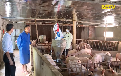 Kh&ocirc;i phục chăn nu&ocirc;i kh&ocirc;ng để thiếu nguồn cung thực phẩm 