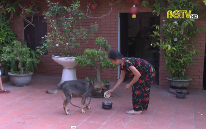 Kh&ocirc;ng chủ quan với bệnh dại