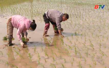 Kh&ocirc;ng kh&iacute; sản xuất, l&agrave;m việc ng&agrave;y m&ugrave;ng 4 Tết 
