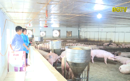 Kiểm tra gi&aacute;m s&aacute;t lưu h&agrave;nh mẫu dịch tả lợn Ch&acirc;u Phi