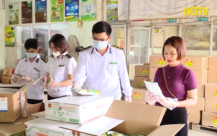 Kiểm tra hoạt động kinh doanh ph&acirc;n b&oacute;n thuốc bảo vệ thực vật 