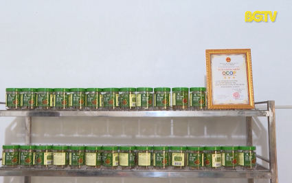 Kinh tế hợp t&aacute;c - Sức sống mới của khu vực n&ocirc;ng th&ocirc;n 