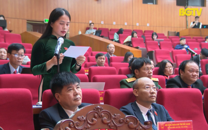 Kỳ họp thứ 22: HĐND tỉnh chất vấn v&agrave; trả lời chất vấn
