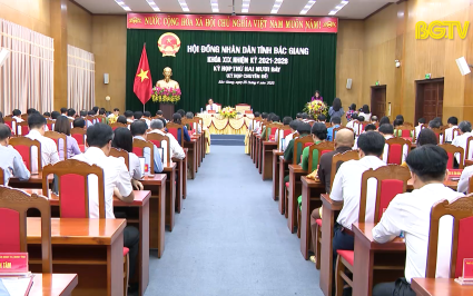 Kỳ họp thứ 27 HĐND tỉnh kh&oacute;a 19 th&ocirc;ng qua 11 Nghị quyết quan trọng