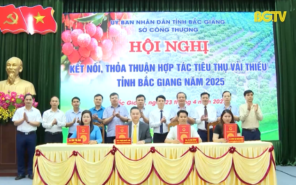 K&yacute; kết gần 20 thỏa thuận hợp t&aacute;c ti&ecirc;u thụ vải thiều 