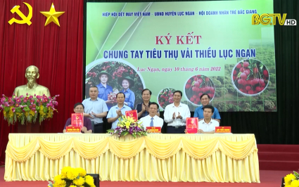 K&yacute; kết ti&ecirc;u thụ vải thiều Lục Ngạn