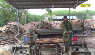 L&agrave;m gi&agrave;u nhờ ph&aacute;t triển kinh tế l&acirc;m nghiệp