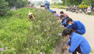 Lan tỏa phong tr&agrave;o "Ng&agrave;y chủ nhật xanh"