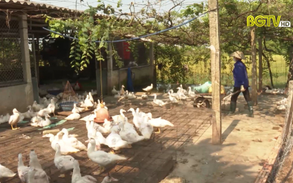 Bắc Giang: Lan toả phong tr&agrave;o n&ocirc;ng d&acirc;n thi đua sản xuất kinh doanh giỏi 