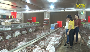 Lan tỏa phong tr&agrave;o phụ nữ gi&uacute;p nhau ph&aacute;t triển kinh tế