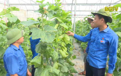 Lan toả phong tr&agrave;o thanh ni&ecirc;n khởi nghiệp