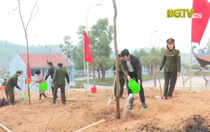 Lan tỏa phong tr&agrave;o trồng c&acirc;y, trồng rừng 