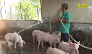 Lan toả phong tr&agrave;o tuổi cao gương s&aacute;ng