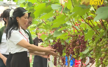 Lan tỏa tinh thần khởi nghiệp trong sinh vi&ecirc;n 