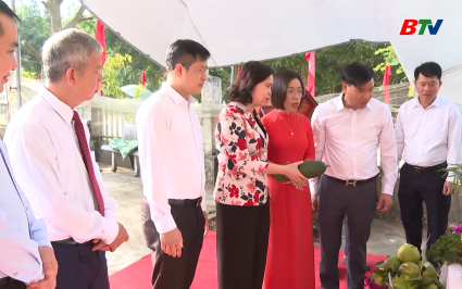 Lãnh đạo tỉnh dự Ngày hội Đại đoàn kết tại các địa phương