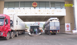 L&agrave;o Cai ưu ti&ecirc;n xuất khẩu quả vải tươi