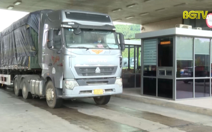 L&agrave;o Cai: Vải thiều được th&ocirc;ng quan trở lại
