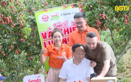 Livestream ti&ecirc;u thụ vải thiều