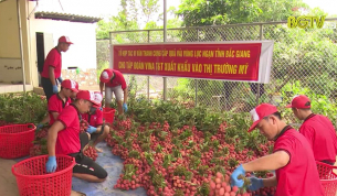 L&ocirc; vải thiều đầu ti&ecirc;n xuất khẩu sang Mỹ