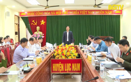 Lục Nam phấn đấu đ&oacute;n đo&agrave;n thẩm định n&ocirc;ng th&ocirc;n mới Trung Ương trong th&aacute;ng 6 