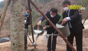 Lục Nam tổ chức ph&aacute;t động Tết trồng c&acirc;y xu&acirc;n T&acirc;n sửu năm 2021