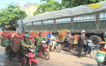 Lục Ngạn: Đảm bảo an to&agrave;n giao th&ocirc;ng trong m&ugrave;a ti&ecirc;u thụ Vải thiều 