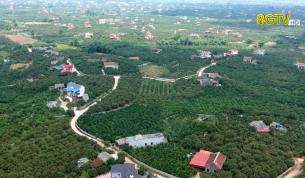 Lục Ngạn đất l&ecirc;n hương
