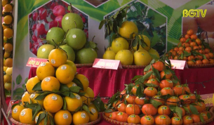 Lục Ngạn: Đẩy mạnh kết nối n&ocirc;ng sản đặc trưng