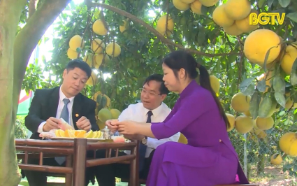 Lục Ngạn: Đưa chợ về vườn, h&uacute;t kh&aacute;ch m&ugrave;a cam bưởi 