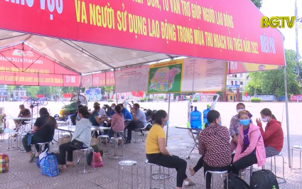 Lục Ngạn hỗ trợ tư vấn, trợ gi&uacute;p người lao động vụ vải thiều