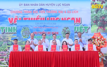 Lục Ngạn mở rộng thị trường ti&ecirc;u thụ vải thiều