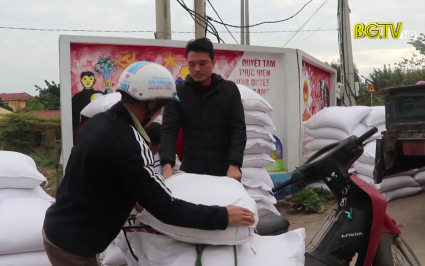 Lục Ngạn: Tiếp nhận, cấp gạo hỗ trợ trồng, chăm s&oacute;c rừng 