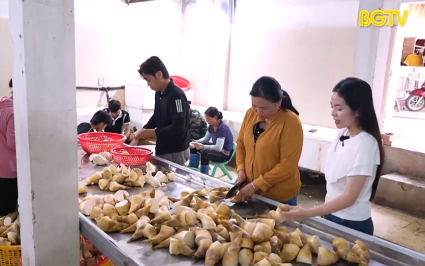Măng lục tr&uacute;c - Hướng đi mới trong ph&aacute;t triển kinh tế n&ocirc;ng nghiệp