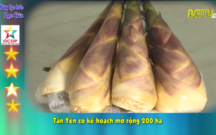 Măng Lục tr&uacute;c Ngọc Ch&acirc;u