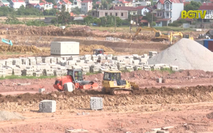 Miễn, giảm hơn 660 tỷ đồng thuế do ảnh hưởng Covid- 19