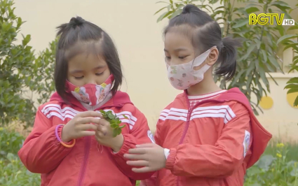 M&ocirc; h&igrave;nh trường mầm non xanh, an to&agrave;n, th&acirc;n thiện