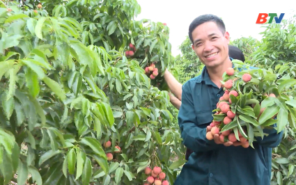 M&ugrave;a quả ngọt từ quản l&yacute; chặt chẽ v&ugrave;ng trồng, chủ động kết nối 