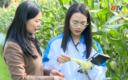 M&ugrave;a xu&acirc;n v&agrave; c&acirc;u chuyện khơi dậy kh&aacute;t vọng cống hiến của thế hệ trẻ 