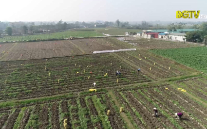 Năm thứ 3 li&ecirc;n tiếp sản xuất n&ocirc;ng nghiệp duy tr&igrave; tăng trưởng 