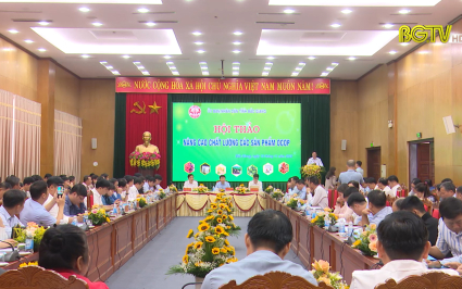 N&acirc;ng cao chất lượng chương tr&igrave;nh mỗi x&atilde; một sản phẩm năm 2022