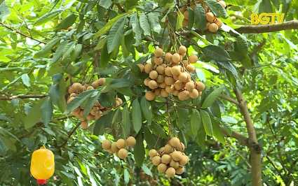 N&acirc;ng cao chất lượng Nh&atilde;n đ&aacute;p ứng điều kiện xuất khẩu 