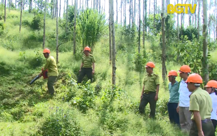 N&acirc;ng cao c&ocirc;ng t&aacute;c quản l&yacute; lửa rừng, ph&ograve;ng ch&aacute;y chữa ch&aacute;y rừng