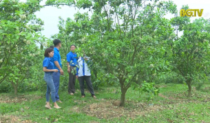 N&acirc;ng cao đời sống cho thanh ni&ecirc;n