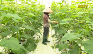 N&acirc;ng cao gi&aacute; trị n&ocirc;ng sản nhờ chương tr&igrave;nh OCOP