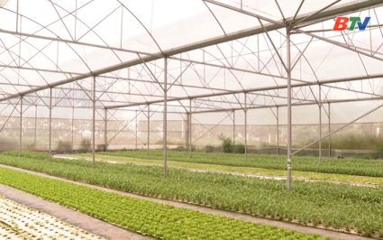 N&acirc;ng cao gi&aacute; trị n&ocirc;ng sản&nbsp;nhờ ứng dụng c&ocirc;ng nghệ v&agrave;o sản xuất