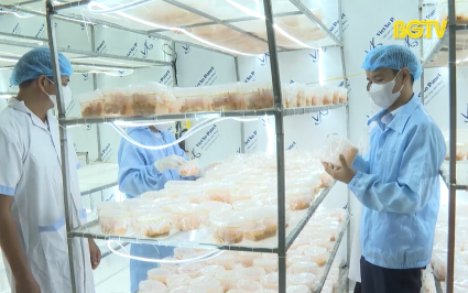 N&acirc;ng cao nhận thức về an to&agrave;n thực phẩm của chủ thể OCOP