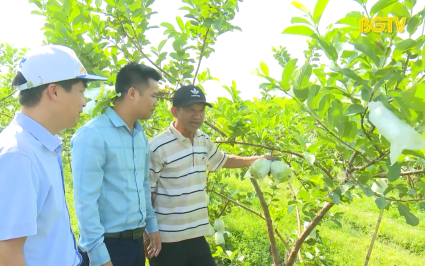 N&acirc;ng cao thu nhập nhờ phong tr&agrave;o sản xuất kinh doanh giỏi