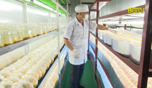 N&acirc;ng cao thương hiệu n&ocirc;ng sản