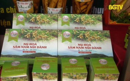 N&acirc;ng tầm sản phẩm S&acirc;m Nam n&uacute;i D&agrave;nh